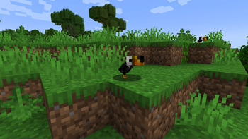 Katt's Ornithology