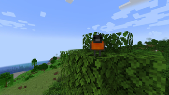 Katt's Ornithology