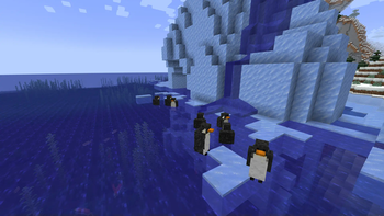 Katt's Ornithology