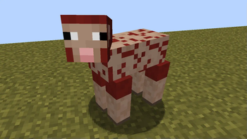 Sheared Sheep still shows the color of its fur