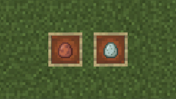 Brown Egg and Blue Egg