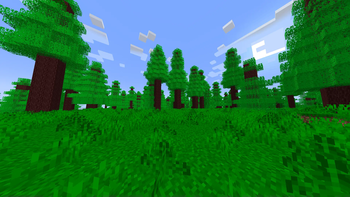 Redwood Forests!