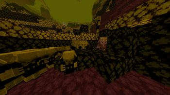 New Nether Biomes!