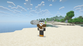 Player wearing Wooly Tunic