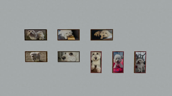 1x2 & 2x1