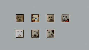 1x1