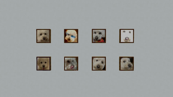 1x1