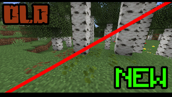 Birch
