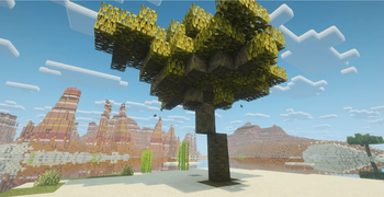 palm