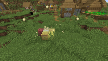 sulfur stuff