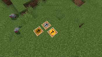 coins!