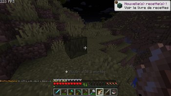 RandomChestSpawner — screenshot 4