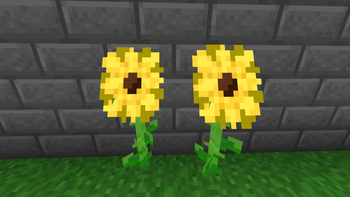 Thats how they look