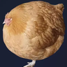 The Circle Chicken