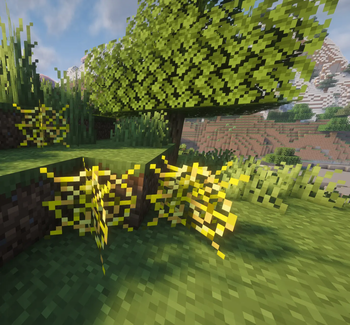 1.0-release Gallery