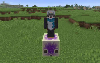 Player standing on Sulfur Cube