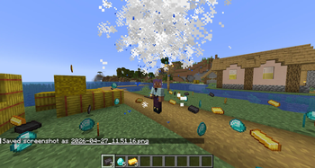 Rich rain 3