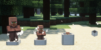 Villager Encapsulation Steps