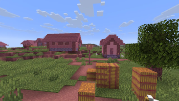 Village!