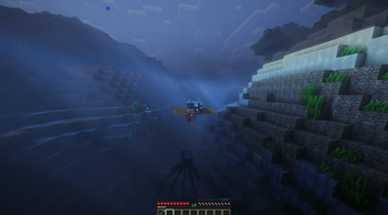 Swimming