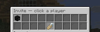 Invite Players On The Server