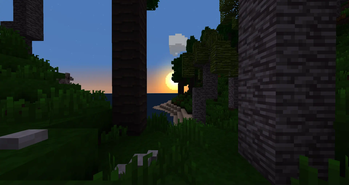 Beachside Jungle