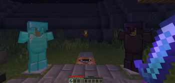 the armor