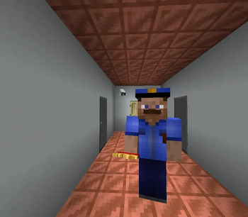 NPC standing in entrance