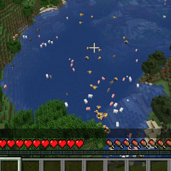 More Animals...