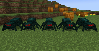 Cave Spider variety