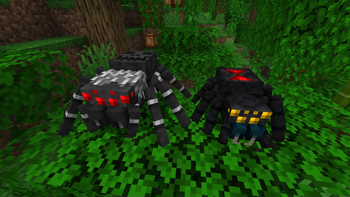 Jungle Tarantula and Black Widow