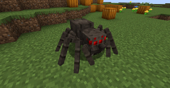 Normal Spider