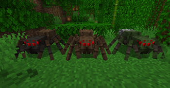 Jungle Spiders