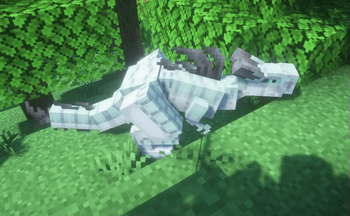 forest drake