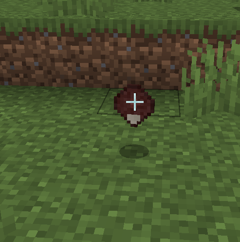 Boivindo — screenshot 1