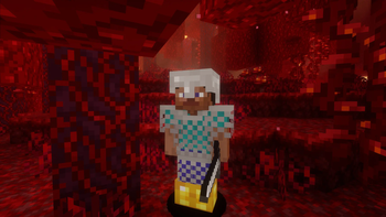 Steve in the Nether