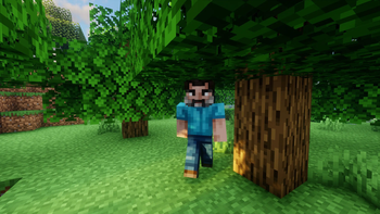 Steve (Jack Black)