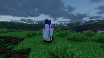 Dinnerbone