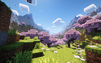 Shaders