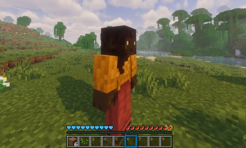 Zoomed In character
