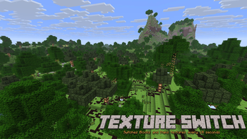 Texture Switch