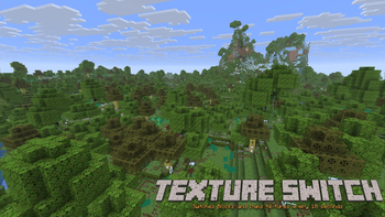 Texture Switch