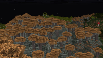 1 option of leaves
