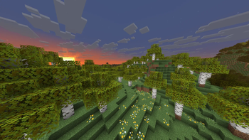 1 option of leaves