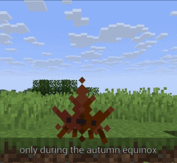 eee