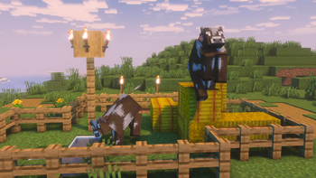 Cows