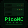 PicoMC