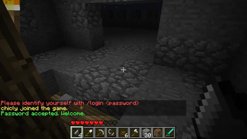 Password accepted