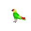Parrot.pack