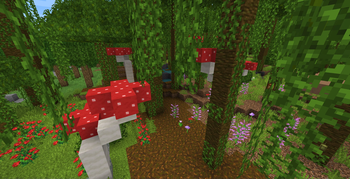 Jungle